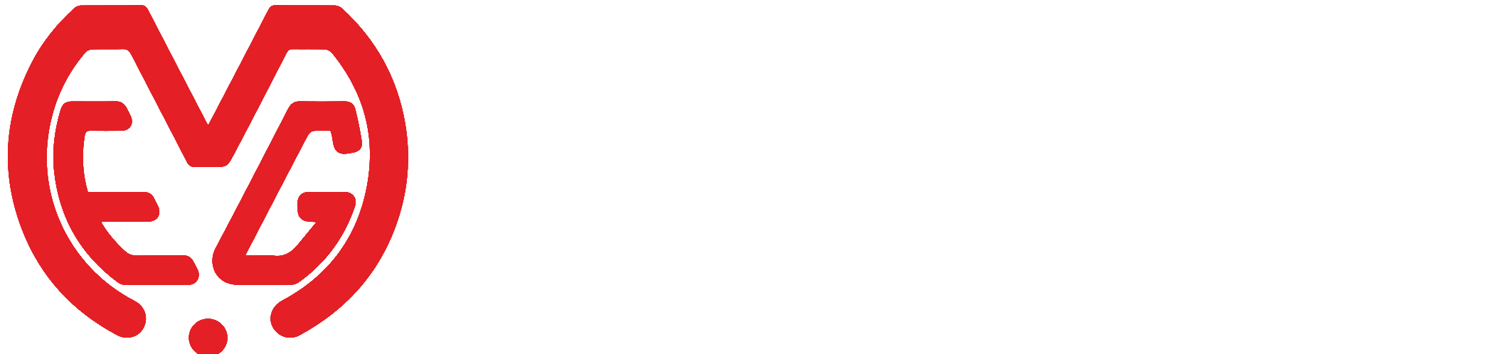 E.M.G. SRL
